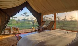 Serengeti-Guest-Room8.jpg