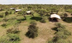 Serengeti-Under-Canvas-aerial-view.jpg