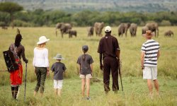 Kichwa_Tembo_Walking1.jpg